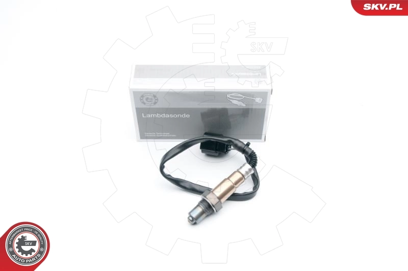 Oxygen Sensor